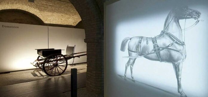 Il Museo della Carrozza di Macerata compie 60 anni. Giovedì visita gratuita guidata