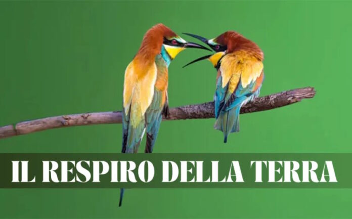 Macerata - A Villa Ficana “Il respiro della terra”, mostra fotografica di Antino Cervigni