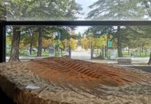 Artropodi al MuBi di Macerata: la nuova mostra che racconta i piccoli giganti della natura Artropodi al MuBi di Macerata: la nuova mostra che racconta i piccoli giganti della natura